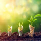 Investment Ideas: स्टॉक मार्केट गिर जाए, तो भी इन निवेशकों को नहीं होगी चिंता, पैसा बरसता रहेगा