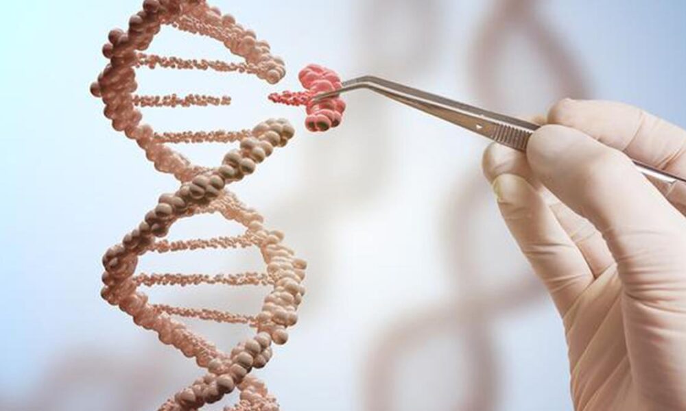 All you need to know about: transgenic research