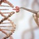 All you need to know about: transgenic research