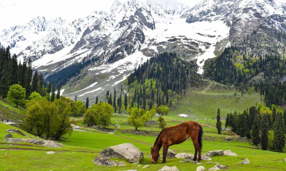 As ice frozen for millennia thaws, Kashmir wakes up to new risks
