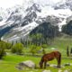 As ice frozen for millennia thaws, Kashmir wakes up to new risks