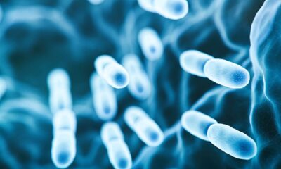 Bug drugs: bacteria-based cancer therapies are finally overcoming barriers