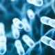 Bug drugs: bacteria-based cancer therapies are finally overcoming barriers
