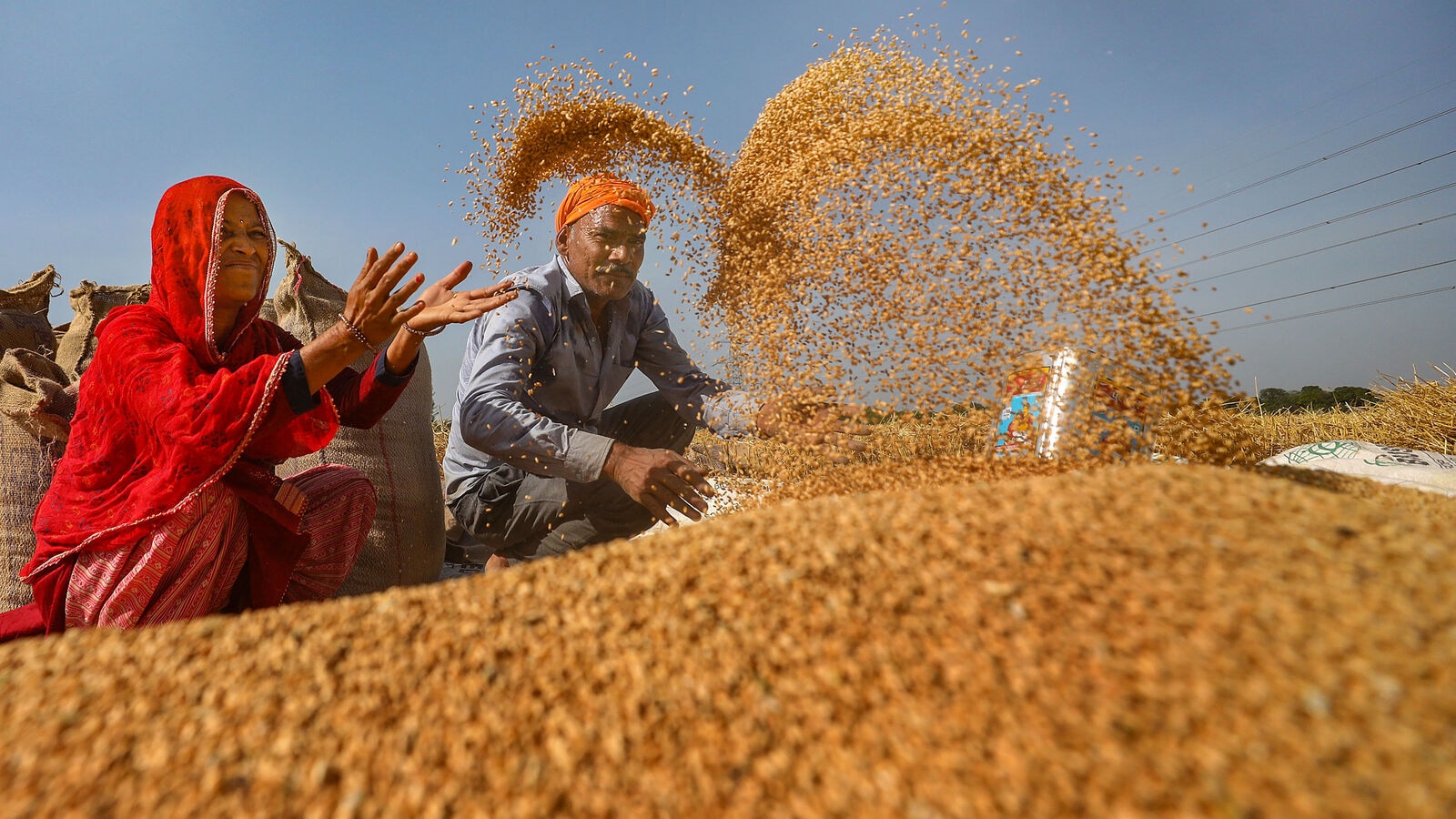 Centre asks traders, wholesales, retailers to declare wheat stock every Friday from 1 April | Mint