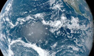 El Niño or La Niña? Anomalous temperature pattern keeps confusion alive