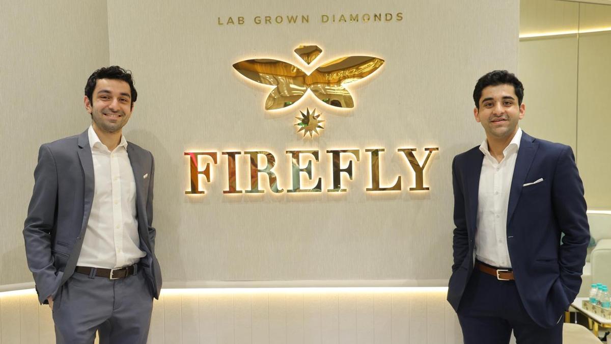 Firefly Diamonds raises $3 million in seed round