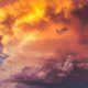 Global coordination can trump efforts to undercut climate predictions