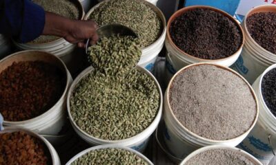 India’s share in global seasoning market a paltry 0.7% despite being world’s largest producer: WSO