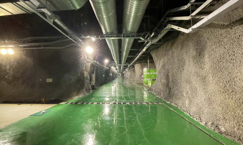 New finding forces search for ultra-rare decay process to continue