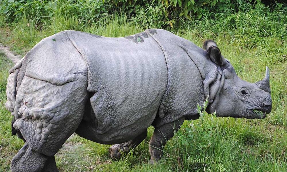 Sci-Five | The Hindu Science Quiz: On National Parks