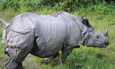 Sci-Five | The Hindu Science Quiz: On National Parks