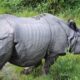 Sci-Five | The Hindu Science Quiz: On National Parks