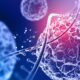 Science for all newsletter