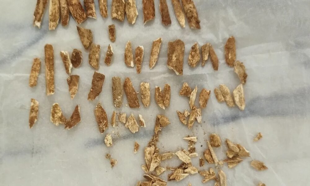 Scientists date remains of ancient child resembling both humans, Neanderthals