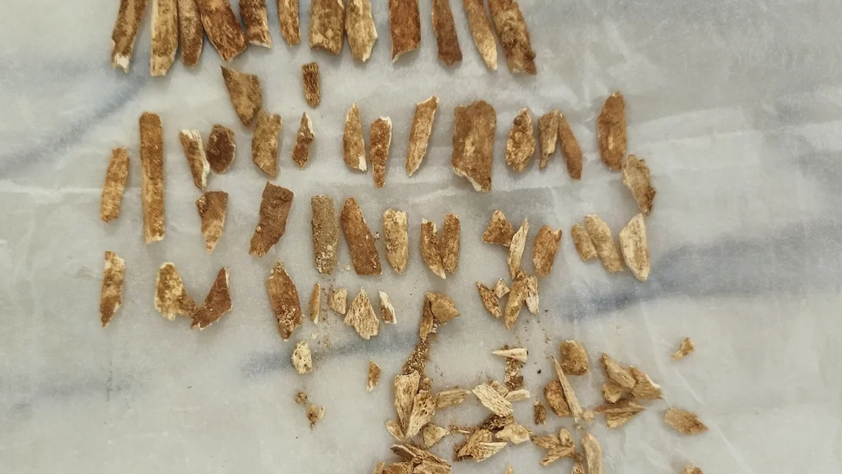 Scientists date remains of ancient child resembling both humans, Neanderthals