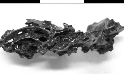 Scientists find man’s brain turned to glass by Vesuvius eruption