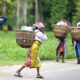 Send officers who can communicate: Assam small tea growers to Tea Board