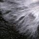 The promise of mycelium bricks