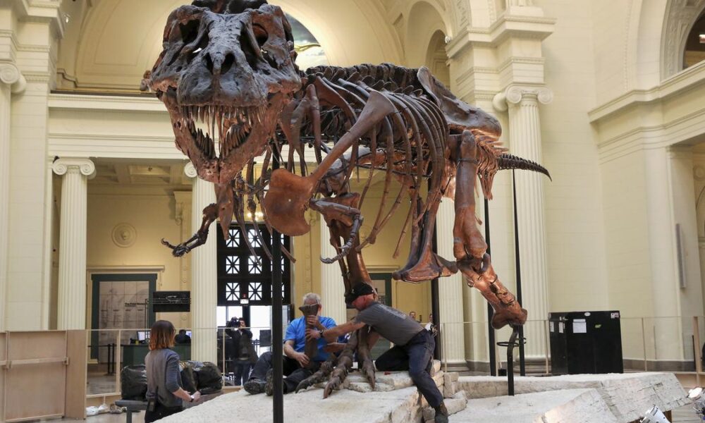 Weird Mongolian dinosaur wielded ‘big, sharp and nasty’ claws