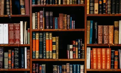 What are preprints?