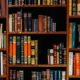 What are preprints?