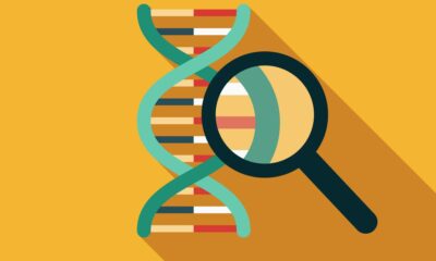 What is DNA fingerprinting? | Explained