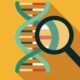 What is DNA fingerprinting? | Explained