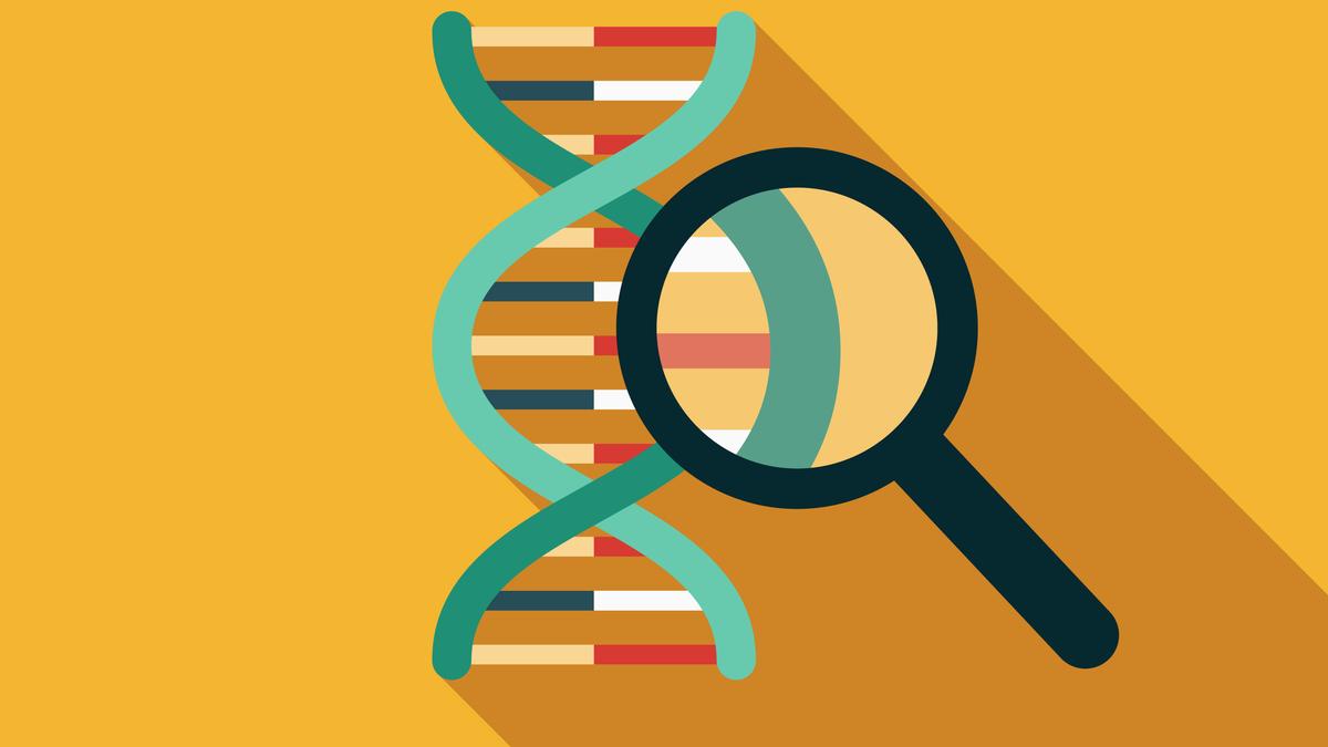 What is DNA fingerprinting? | Explained