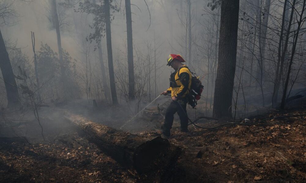 AI-powered drones track down fires in German forests