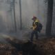 AI-powered drones track down fires in German forests