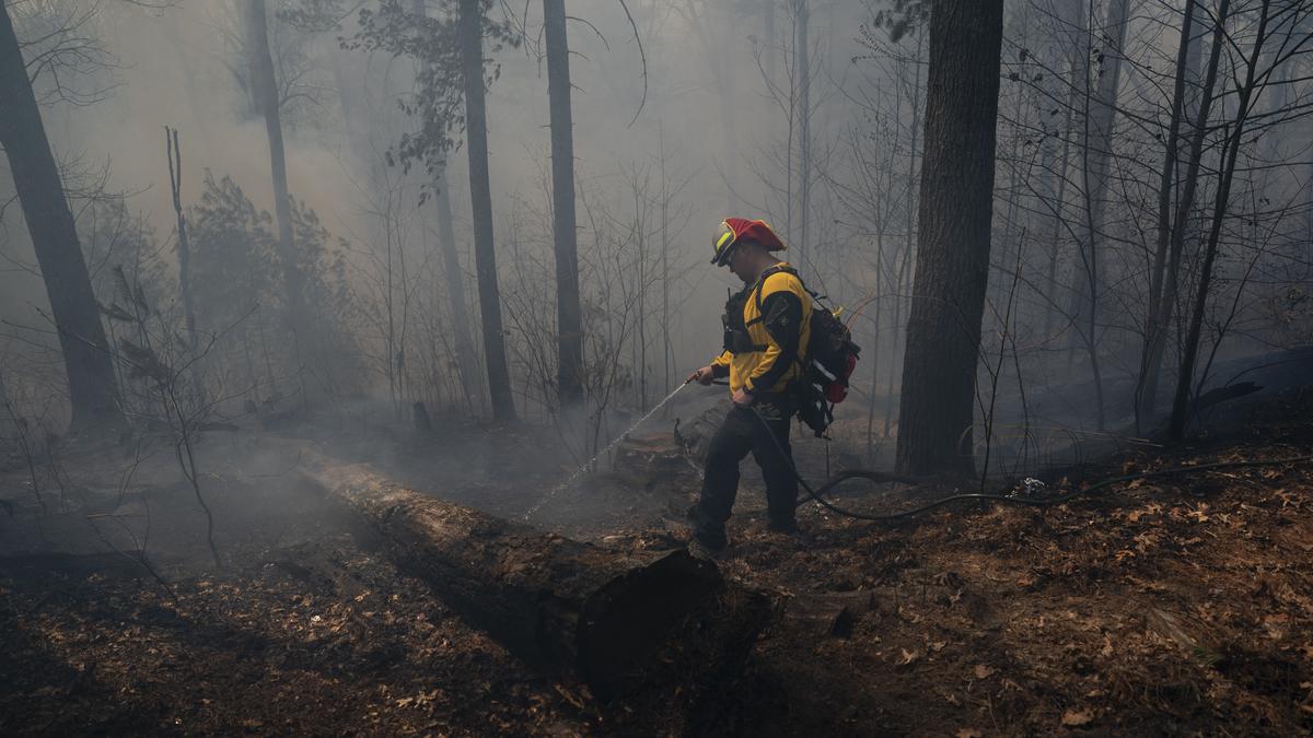 AI-powered drones track down fires in German forests