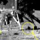 Chandrayaan’s ChaSTE scores a first after taking moon’s temperature