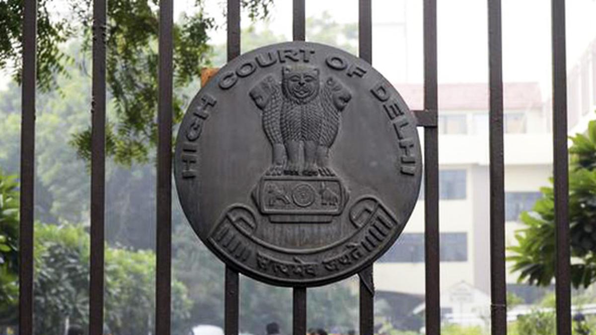 Delhi HC expresses concern over infighting in sporting federations