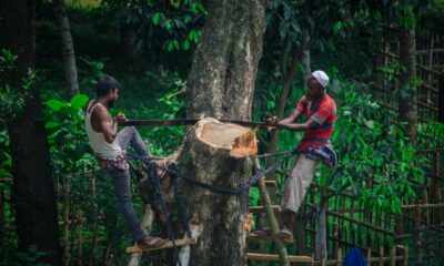 Ecological disruptions are a risk to national security