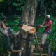 Ecological disruptions are a risk to national security