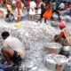 Indian seafood exporters get the ‘sinking’ feeling