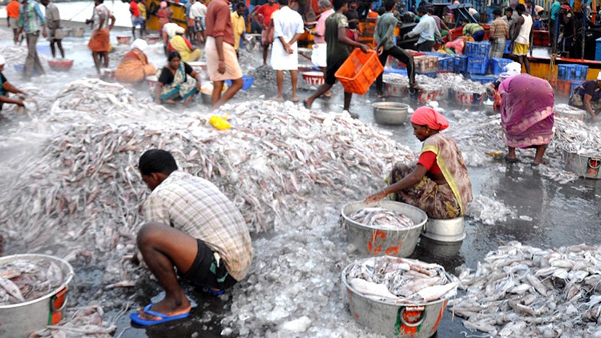 Indian seafood exporters get the ‘sinking’ feeling