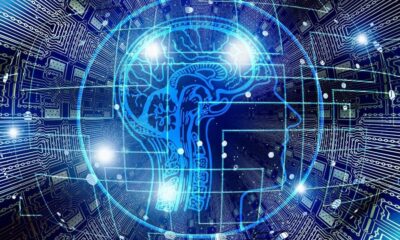 India’s AI global profile is rising, but gaps remain, finds Stanford’s AI Index report | Mint