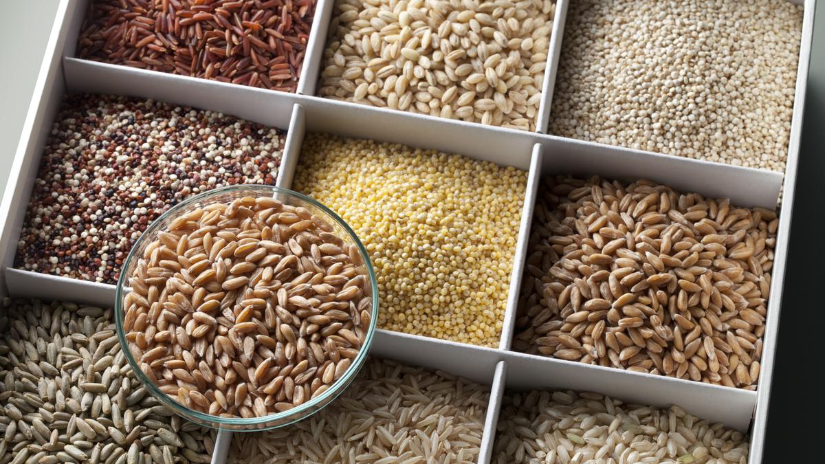 India’s first-ever seed germination database coming up