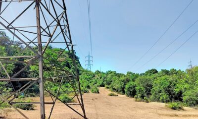 Karnataka govt issues order to prepare power evacuation scheme for Sharavati pumped storage project