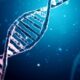 Rare blood cancer now detectable using a CRISPR-based test