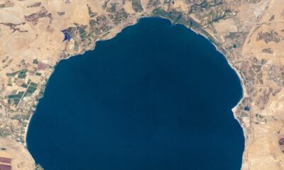 Science Quiz | A reference point where water meets earth