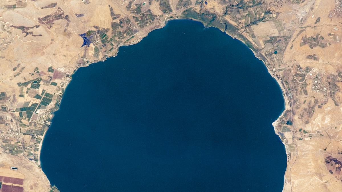 Science Quiz | A reference point where water meets earth