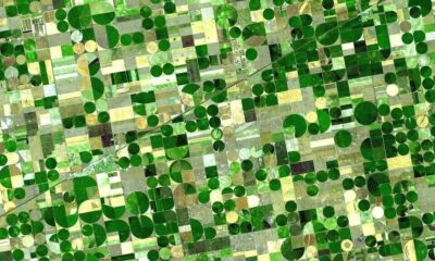 Spy-satellite-grade images could soon become available to everyone