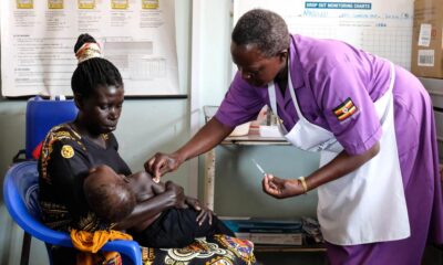The mosquito effect: how malarial chaos influenced human history