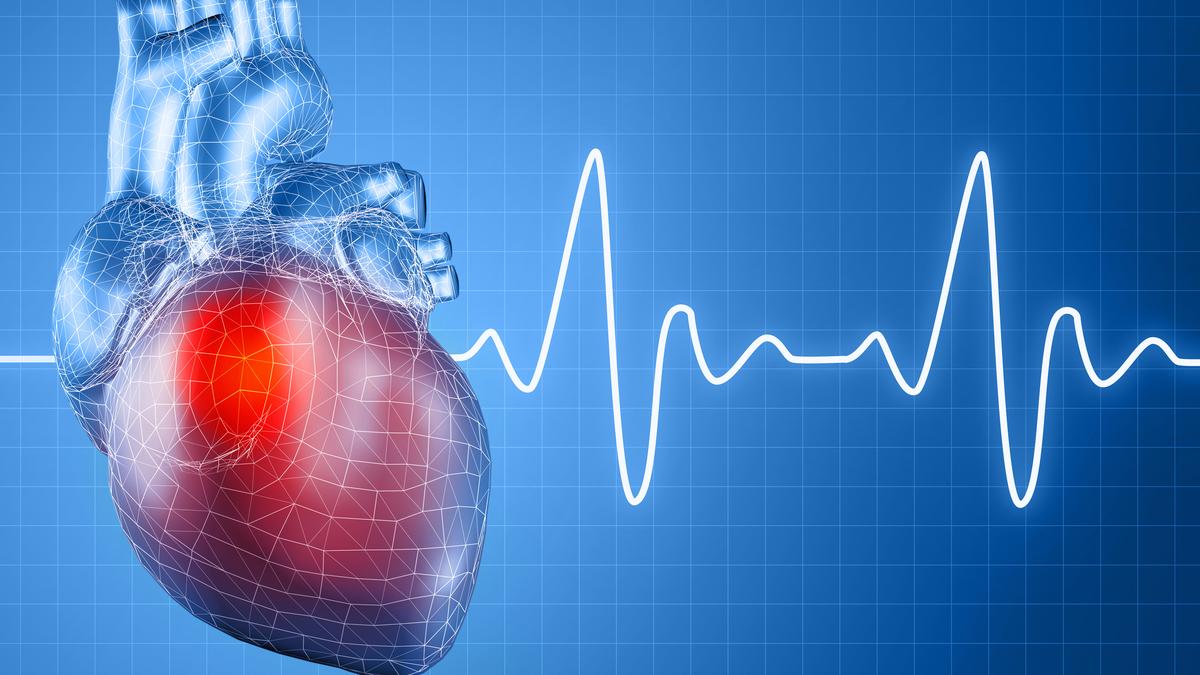 Tiny pacemaker ups the ante on device’s abilities