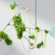 Weird phrase plaguing scientific papers traced to glitch in AI data