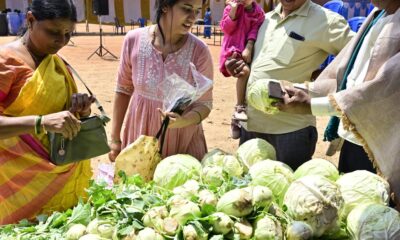 Wholesale inflation eases to 2.05% in March on cheaper food items