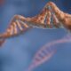 With GenomeIndia, population-scale genomics comes of age in India