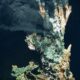 99.999% of earth’s deep seafloor yet to be observed